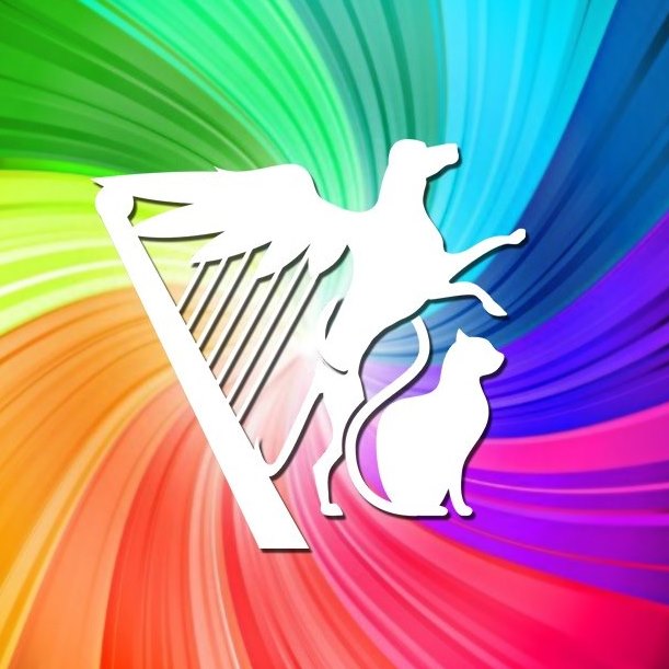 Abrigo Tábor, organização de ajuda a cães e gatos.